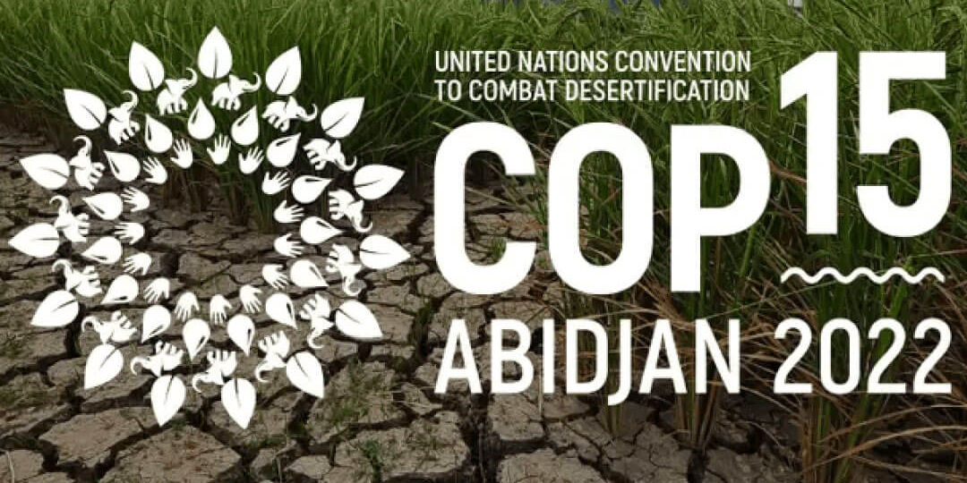 cop15