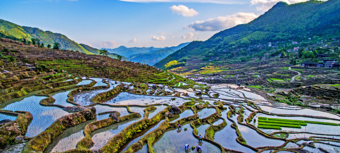 Rice Terraces System in Southern Mountainous and Hilly Areas, China.