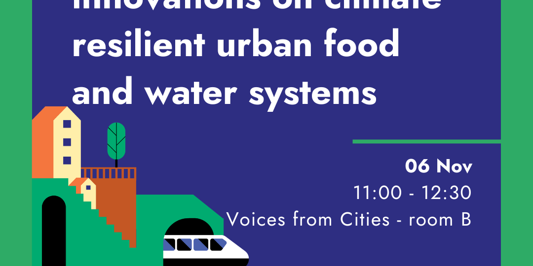 6. Voices from cities events