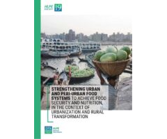 Strengthening urban and peri-urban food systems to achieve food security and nutrition, in the context of urbanization and rural transformation