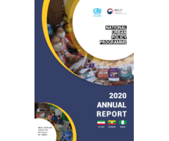 National Urban Policy Programme 2020 Annual Report