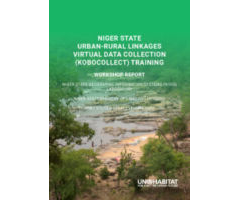 Niger State Urban-Rural Linkages Virtual Data Collection (Kobocollect) Training