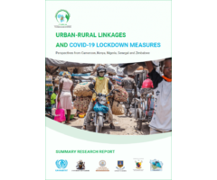 Urban-Rural Linkages and covid-19 lockdown measures, perspectives from Cameroon, Kenya, Nigeria, Senegal and Zimbabwe: Summary Research Report
