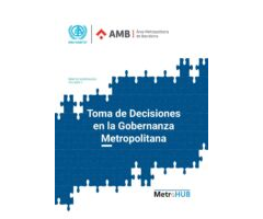 Decision Making in Metropolitan Governance